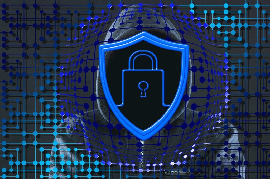 security, internet, crime-4700820.jpg